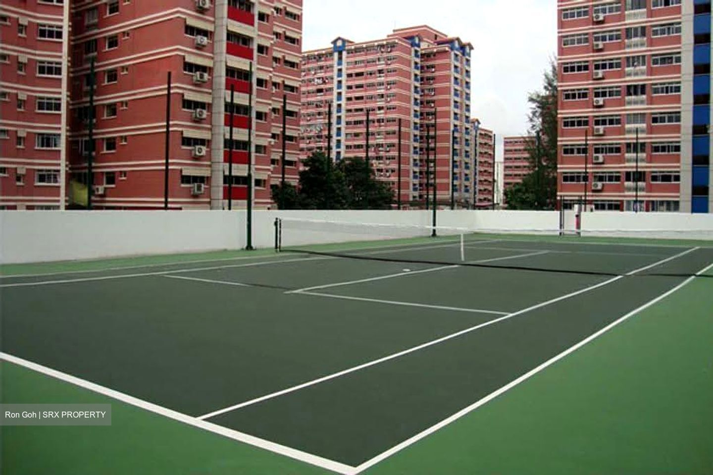 Oasis @ Elias (D18), Condominium #613039011